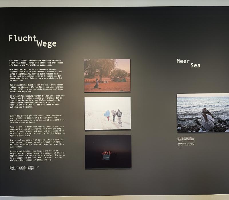 Current gallery exhibition: FluchtWege 